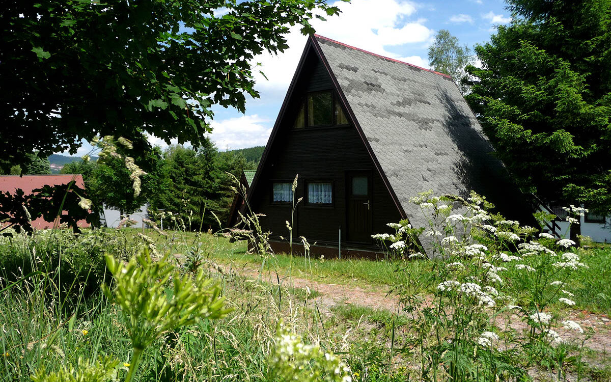 Ferienhaeuser-Suedthueringen-Altendambach-Panorama
