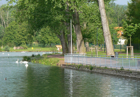Schwanenteich