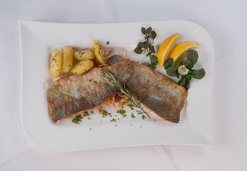 Rhöner Forelle