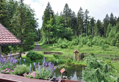 Blick in die Umgebung