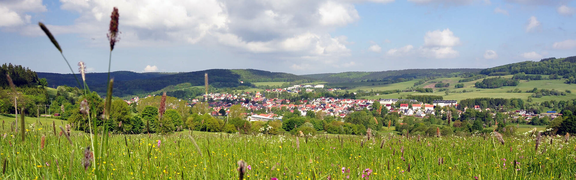 Blick auf Brotterode