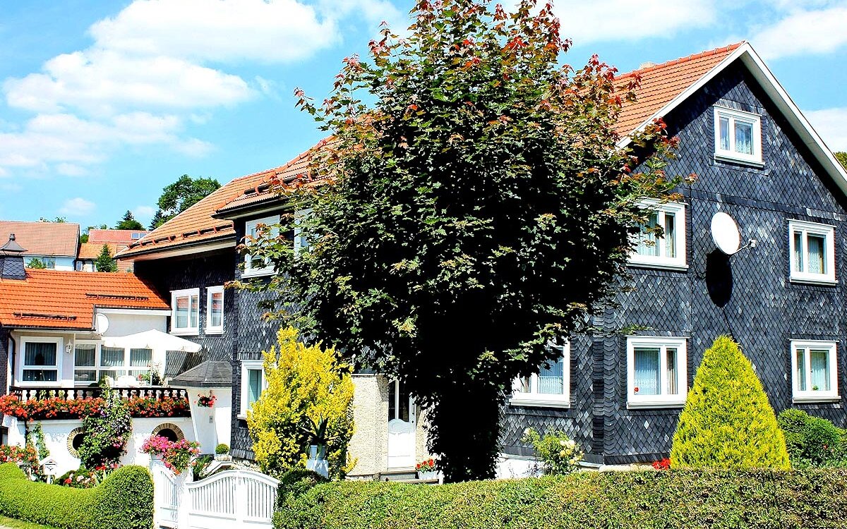 Ferienwohnungen-Wilhelm-Waffenrod-Panorama