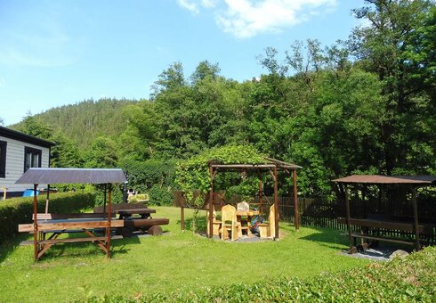 Blick in den Garten