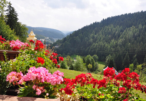 Blick vom Berghotel
