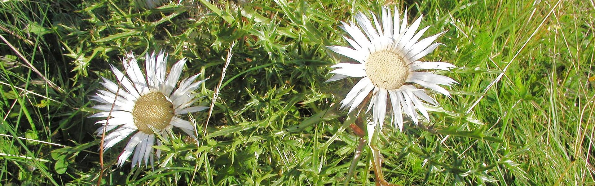 Kirchenburg Kaltennordheim