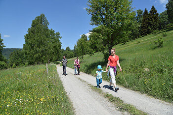 Wandern