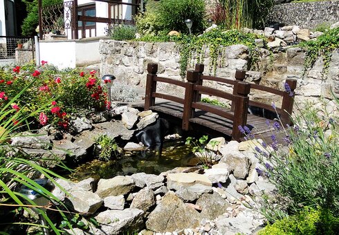 Blick in den Garten