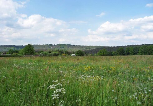 Landschaft bei Bollberg