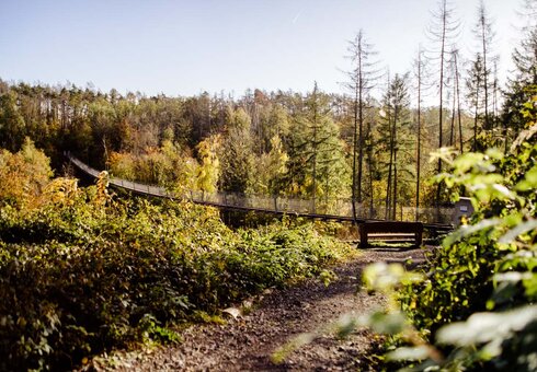 Hängeseilbrücke Hohe Schrecke