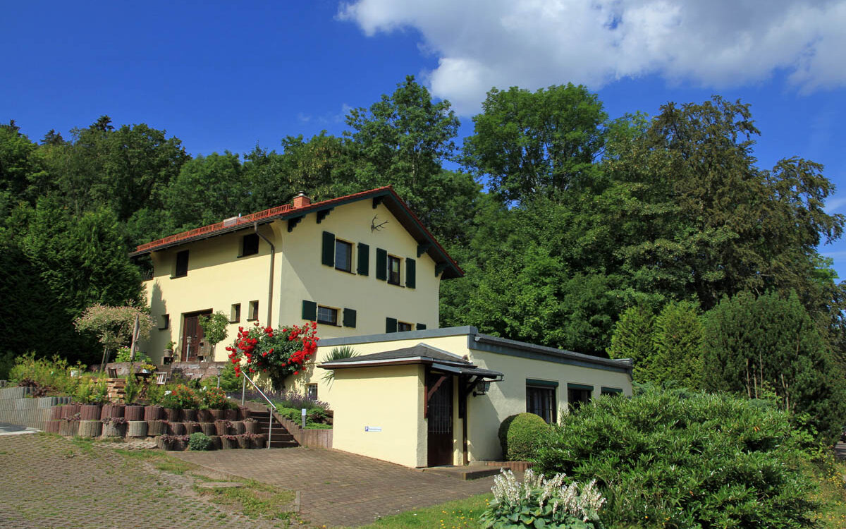 Ferienwohnung-Haus-Froehlich-Tabarz-Panorama
