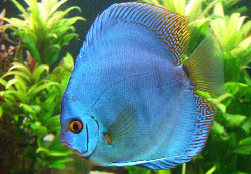 Erlebnispark Meeresaquarium