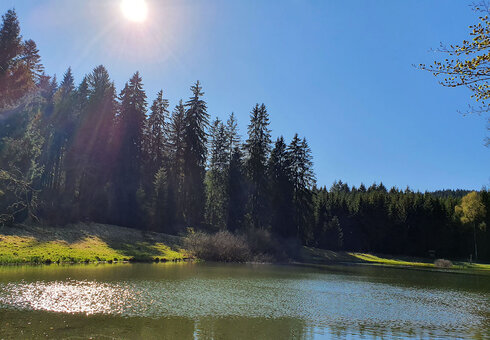 idyllischer Bergsee