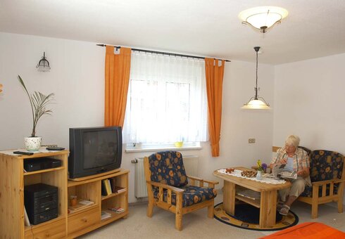 Blick in die Ferienwohnung (Wohnzimmer)