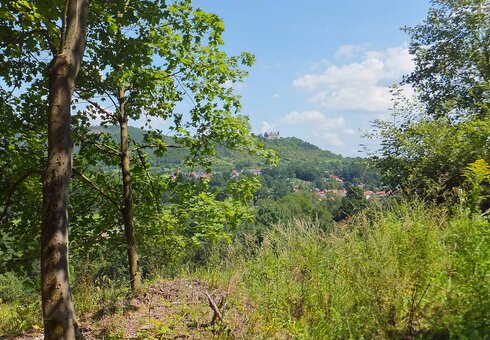 Landschaft in der Nähe