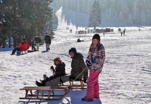 Rodeln im Winter