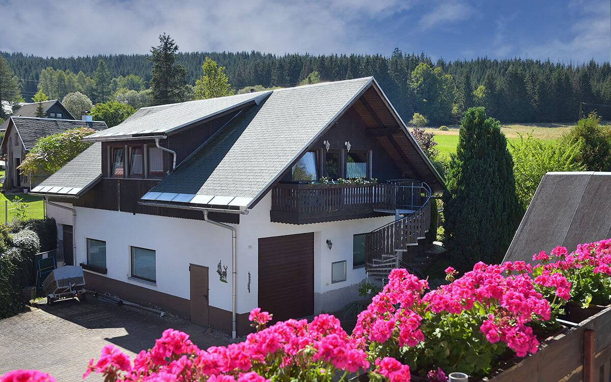Haus-Petra-Scheibe-Alsbach-Panorama