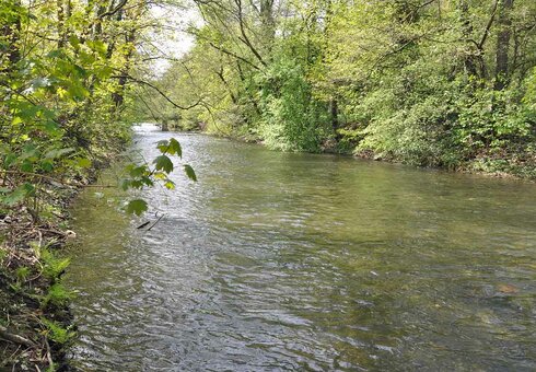 Der Fluss Schwarza (ideal zum Angeln)