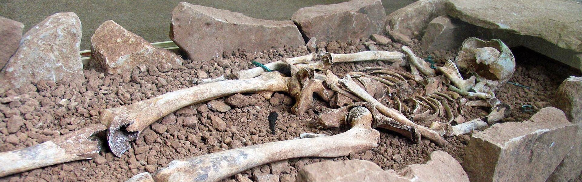 Steinsburgmuseum Römhild