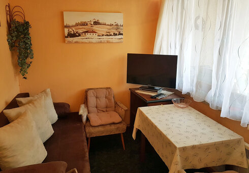 Blick in das Wohnzimmer