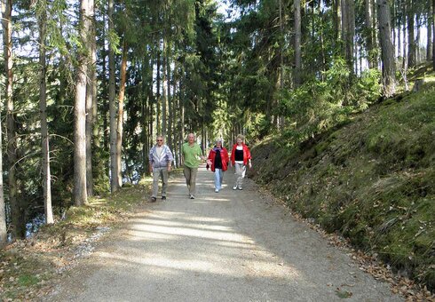 Naturimpressionen