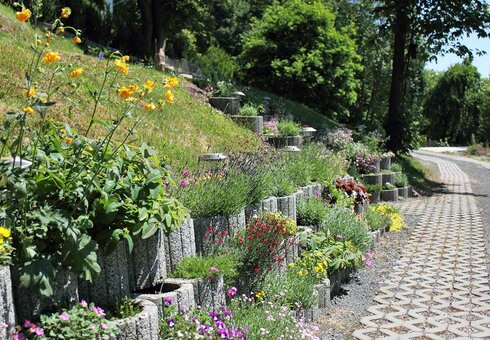 im Garten