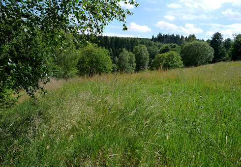 Blick in die unmittelbare Umgebung