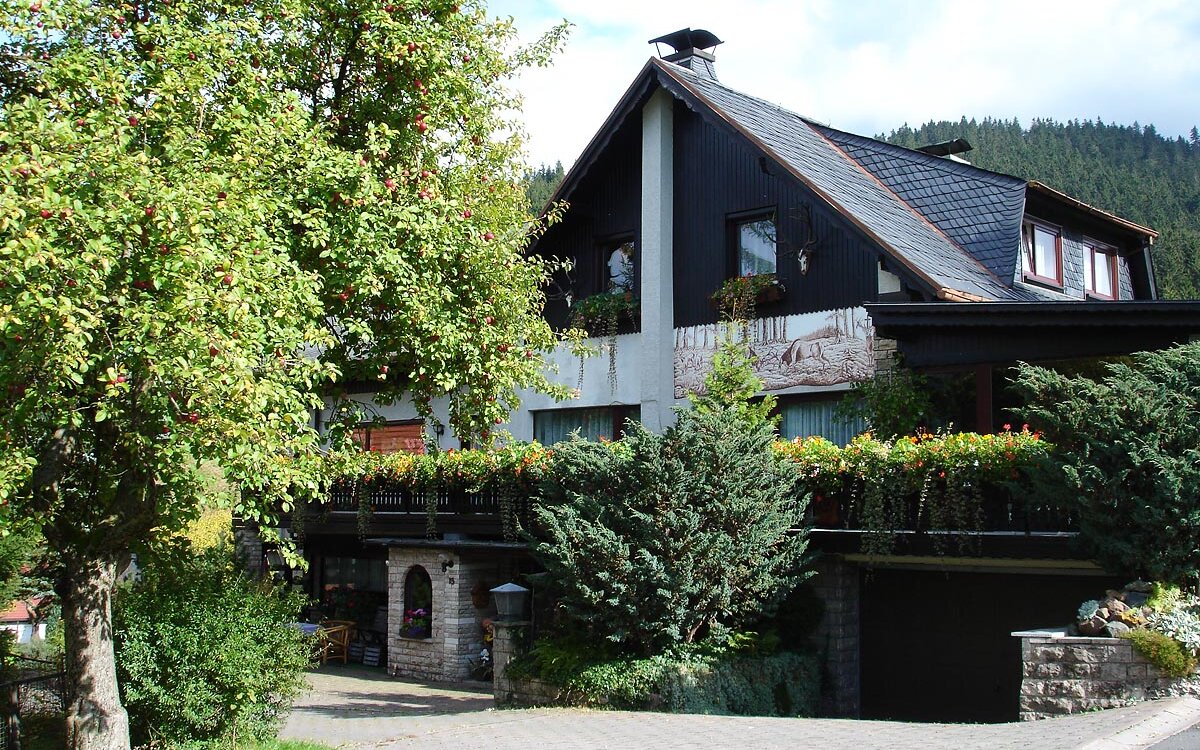 Haus-Hubertushof-Oberschoenau-Panorama