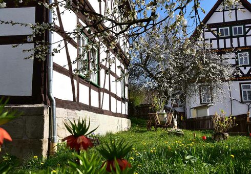 Blick in den Garten