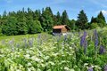 Landschaft bei Suhl