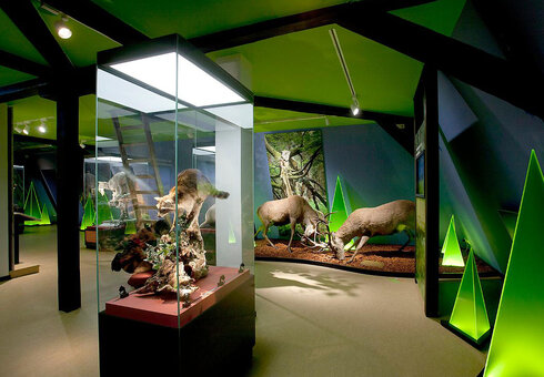 Haus der Natur Goldisthal
