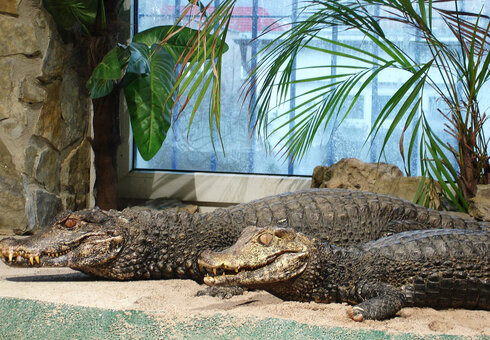 Erlebnispark Meeresaquarium