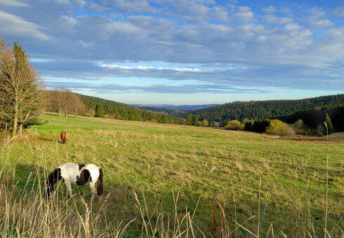 Ausblick vom Hotel