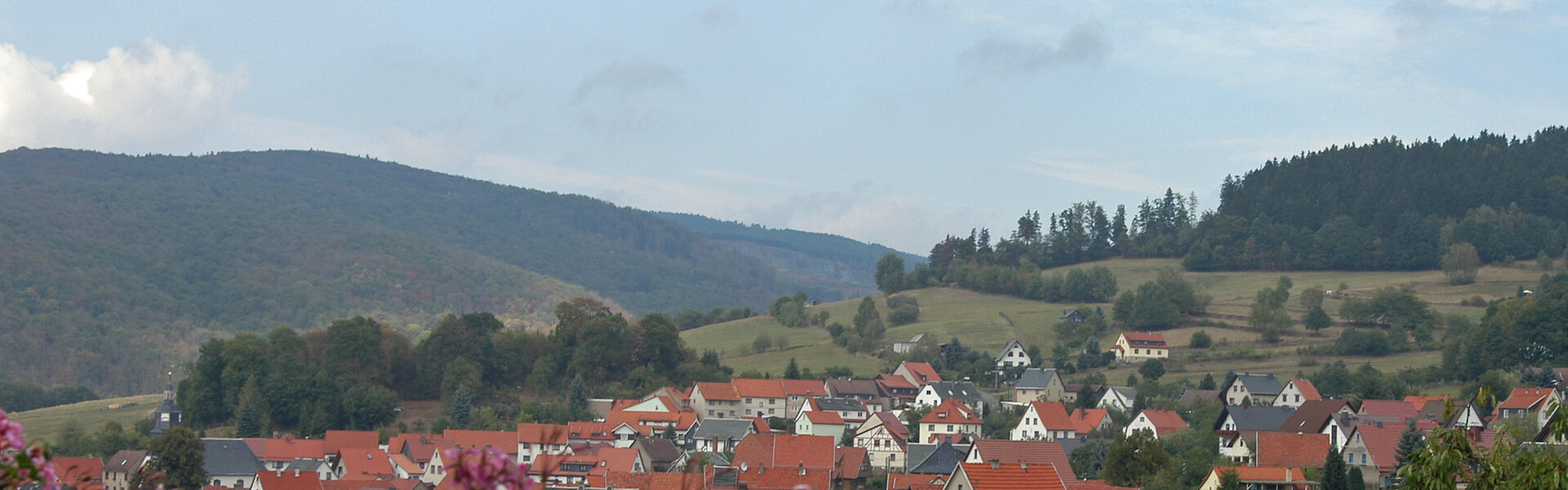 Pension-Rennsteigblick-Struth-Helmershof-Panorama