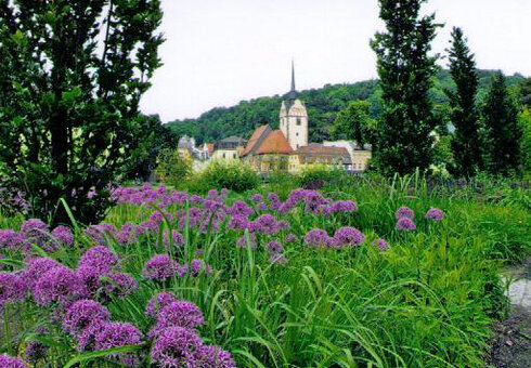 Hofwiesenpark