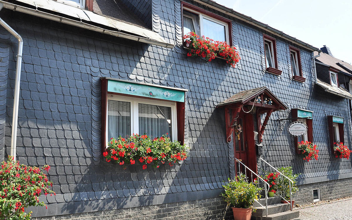 Appartementhaus-Hackbarth-Schmiedefeld-am-Rennsteig-Panorama