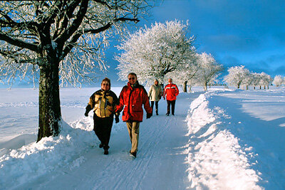 Winterwandern am Rennsteig