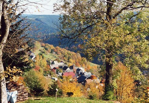Blick auf den Ort Deesbach