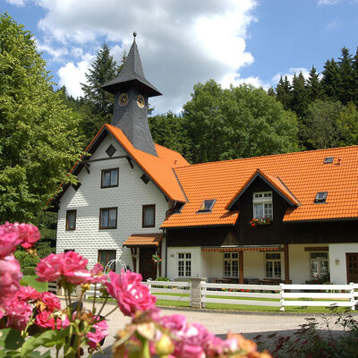 Pension Teichmühle, Manebach
