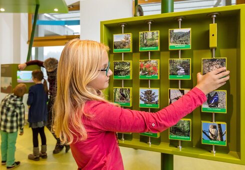 Infozentrum Biosphärenreservat Thüringer Wald