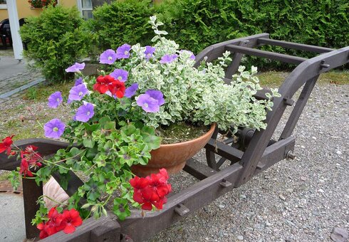 Blumenpracht vor dem Haus