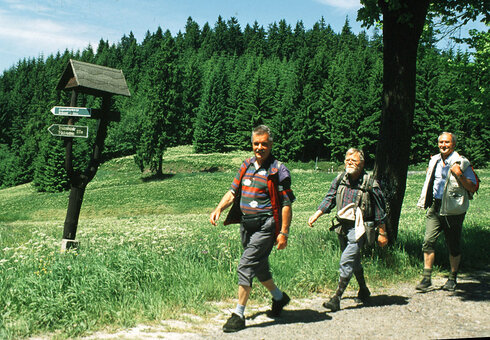 Wandern im Thüringer Wald