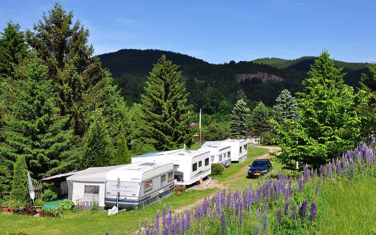 Campingplatz-Am-Waldbad-Breitenbach-Panorama