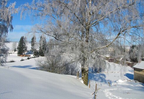 Agrofarm im Winter