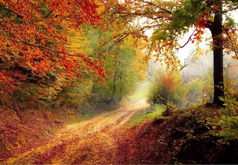 Landschaft im Herbst