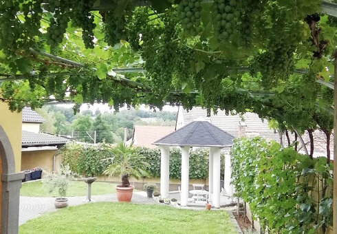 Blick in den Garten