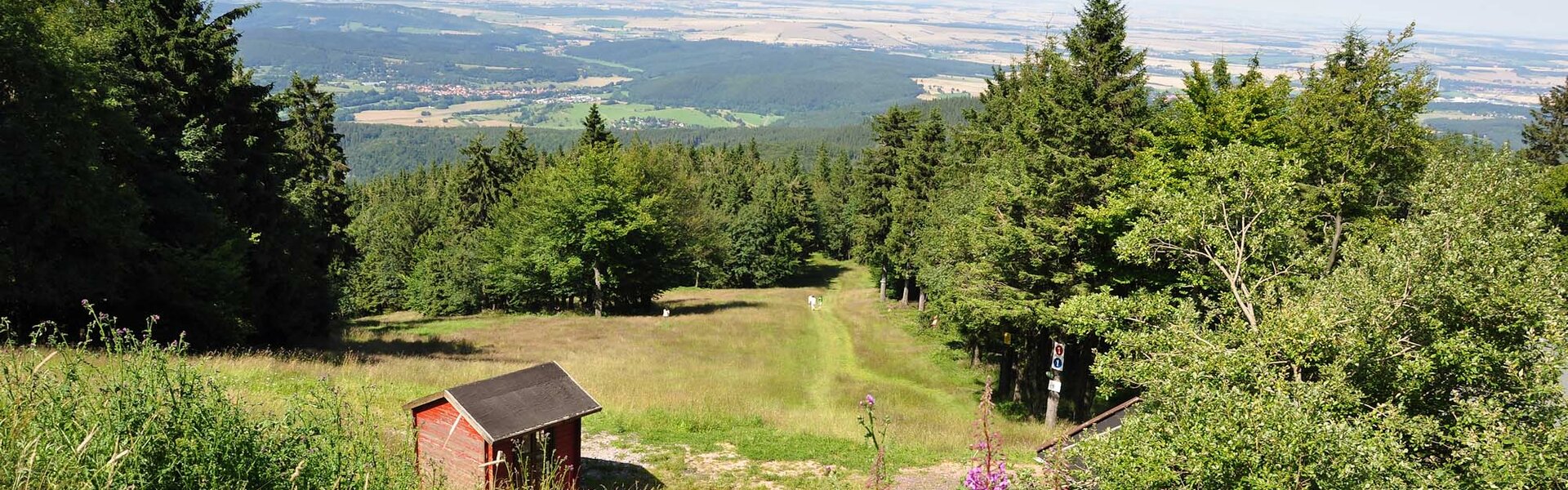 Landschaft am Großen Inselsberg
