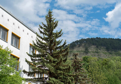Akademiehotel Jena