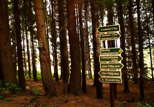 Wanderwegweiser im Wald