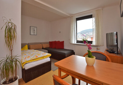 Blick in die Suite