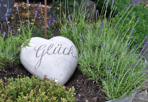 Gartenimpression